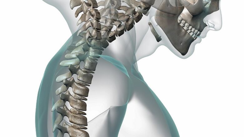 columna cervical y osteocondrosis